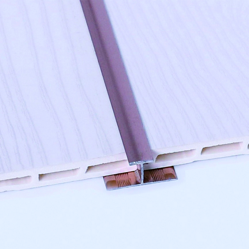 Tira de transici&oacute;n interior en forma de T 