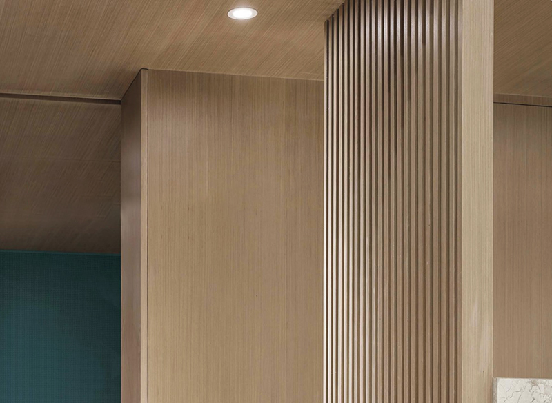 interior del panel de pared wpc