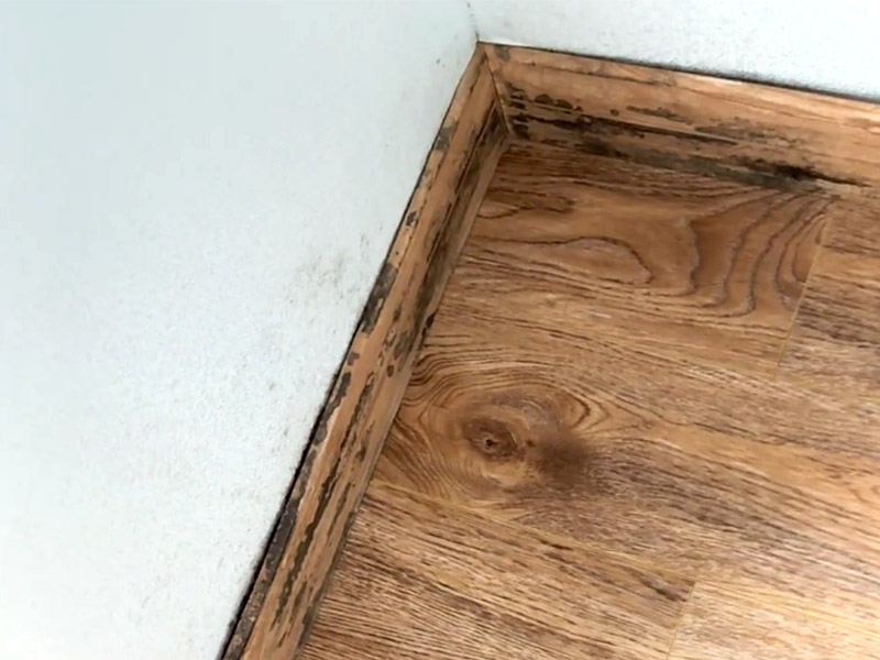 ¿Cómo eliminar el moho de los zócalos?