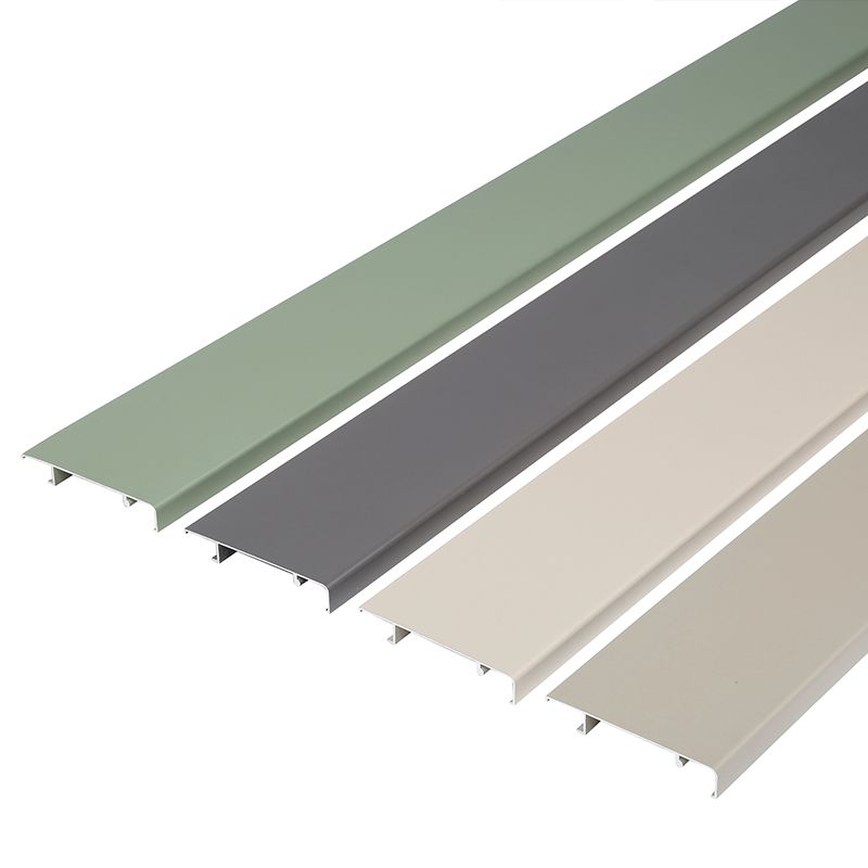 perfil de z&oacute;calo