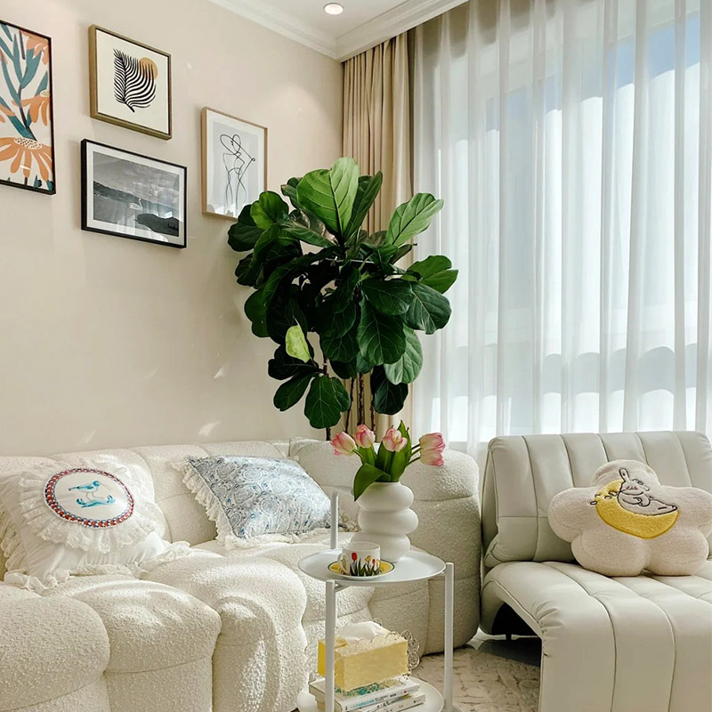 ¿Cuáles son las ventajas y desventajas del lodo de diatomeas?