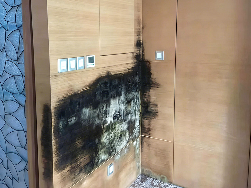 Los paneles de pared causan moho.