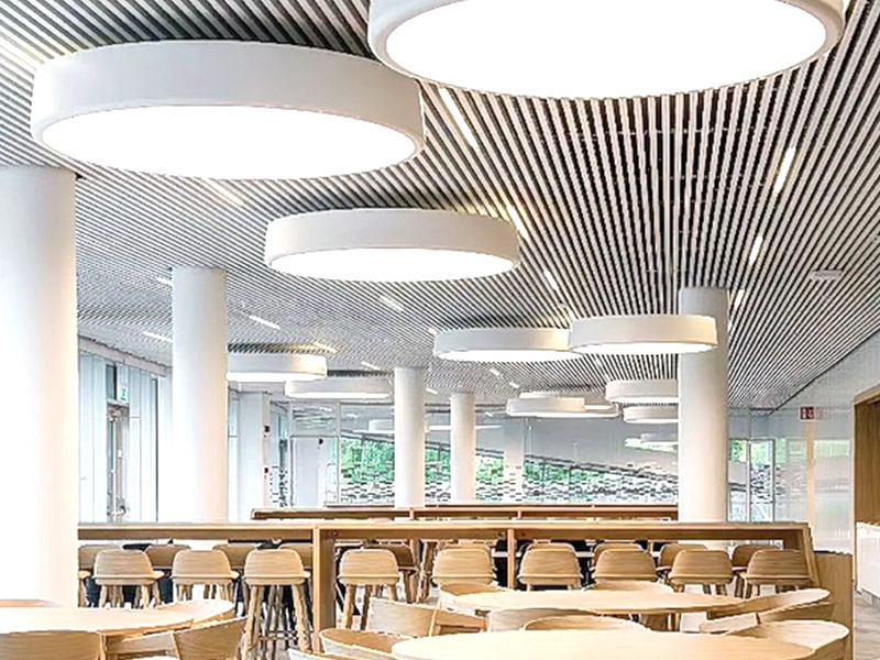 ¿Cuáles son los paneles de techo WPC?