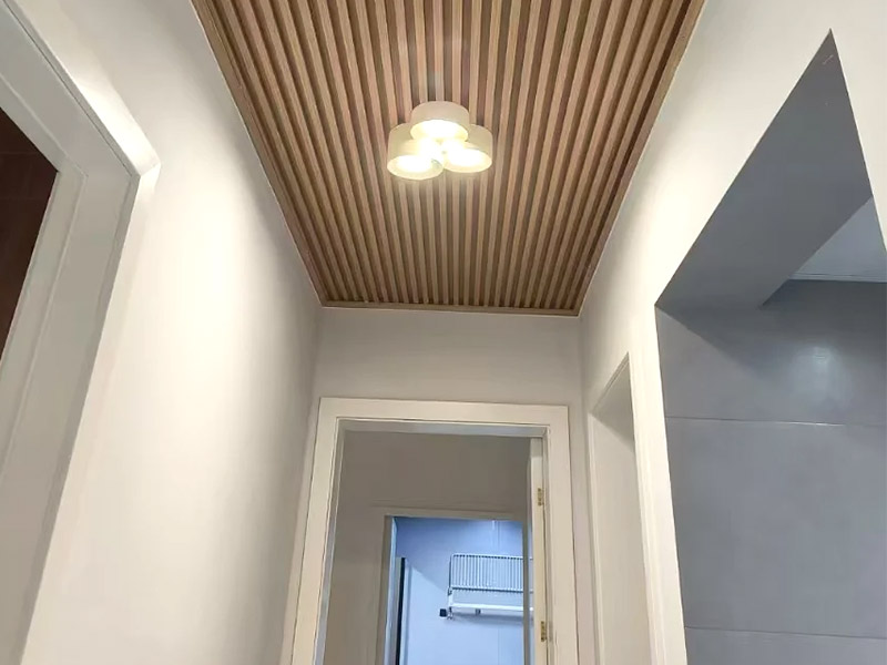 ¿Se pueden utilizar paneles de pared en el techo?