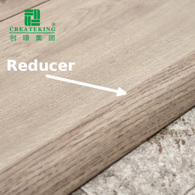 Reductor de umbral de PVC de 50*11 mm